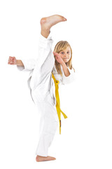 Portrait of little girl training ashihara martial art © jinga80