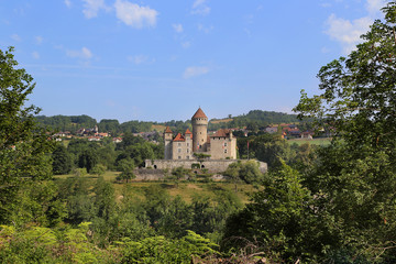 Fototapeta na wymiar Château de Montrottier
