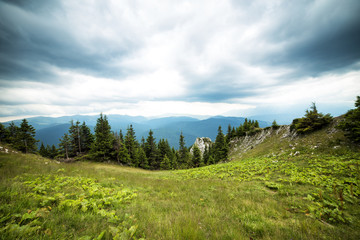 Obraz premium Beautiful summer landscape from the mountains,