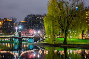 Boston Public Garden