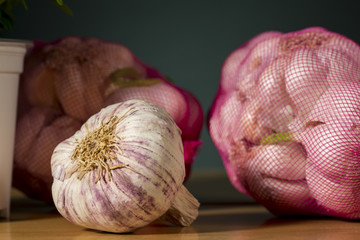 Purple garlic bulbs. 
