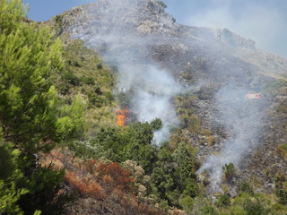Fuoco vivo e macchina dei vigili del fuoco