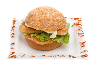 Big hamburger on white background