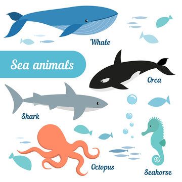 Set of sea animals  - whale, grampus, octopus, seahorse, shark, fish,. Vector.