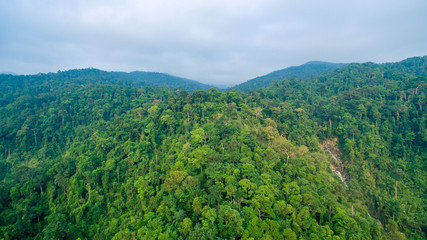 Fototapeta na wymiar aerial top view of forest mouatain in asian Thailand