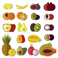 Big Fruits Set. Tropical fruits. Fresh sliced fruits. Isolated. Flat vector illustration.