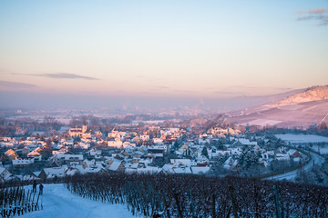 Fototapeta na wymiar Schallstadt Snow Vineyards