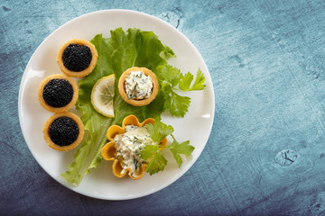 Tartlets filled with red and black caviar and cheese and dill salad on white plate against blue rustic wooden background