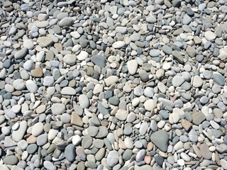 Light pebble on the beach