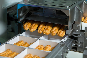 Boxes with eclairs on conveyor. Machine puts eclairs into boxes. Even portions of dessert. Pastry with delicious filling.