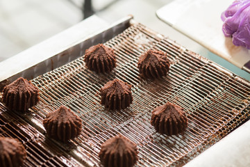 Hand in glove beside sweets. Brown candies on conveyor line. Natural ingredients and special recipe. Confectionery business is profitable.