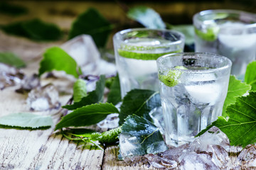 Cold Russian vodka, on birch buds, crushed ice birch leaves, vin