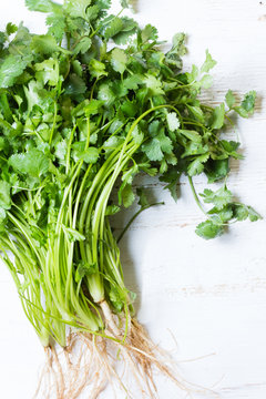 Bunch of fresh cilantro white background. Top view