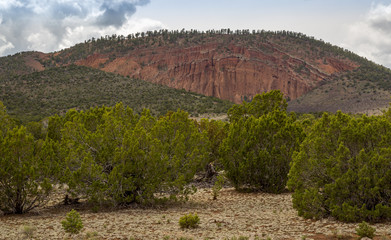 Fototapeta na wymiar Red Mountain landscapes in Northern Arizona