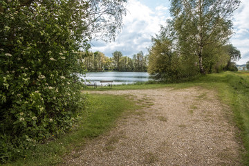 Forest lake near the green meadow