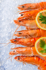 Fresh prawns on crushed ice.