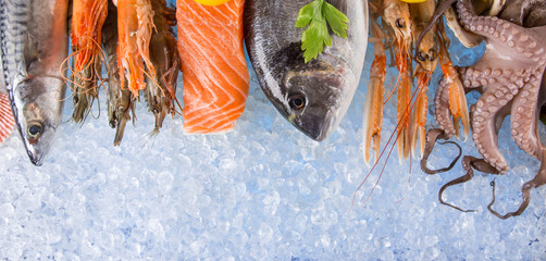 Fresh seafood on crushed ice. - obrazy, fototapety, plakaty