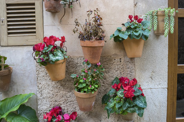 Fototapeta na wymiar flowerpots street in the tourist island of Mallorca, Valdemosa c