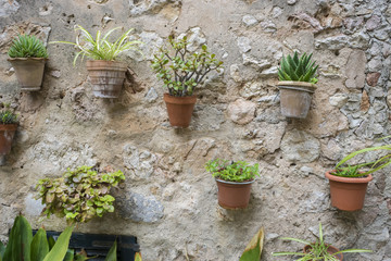 Fototapeta na wymiar vacation, flowerpots street in the tourist island of Mallorca, V