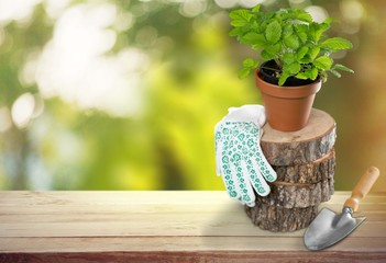 Gardening.