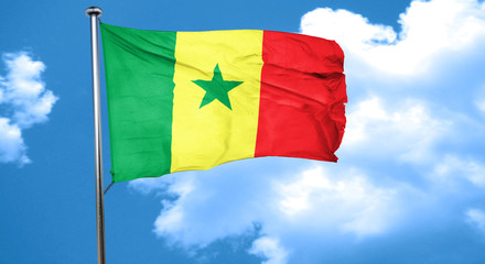 Senegal flag waving in the wind