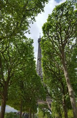 Tour Eiffel in the spring