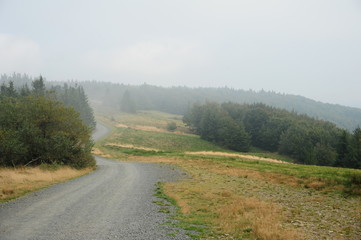 Misty path