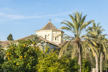 Fototapeta premium Public Library of Valencia. Spain.