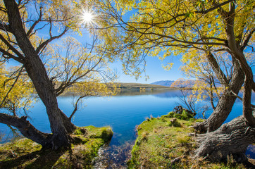 Naklejka na ściany i meble Beautiful autumn landscape in Lake McGregor,Canterbury Region, New Zealand