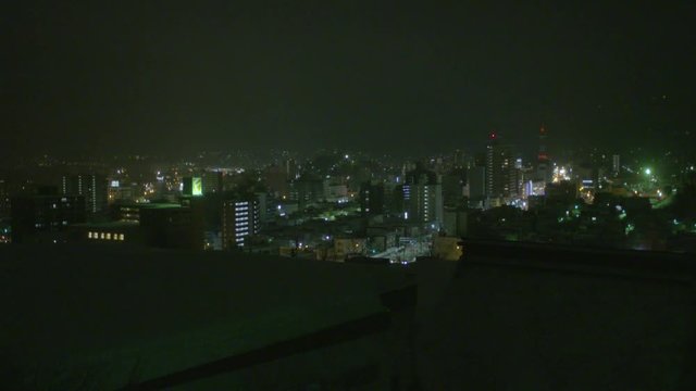 Otaru, Hokkaido/Japan City Skyline at Night