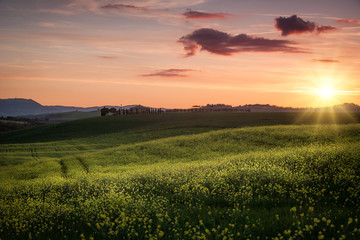 Obraz premium Tuscany Spring Sunset
