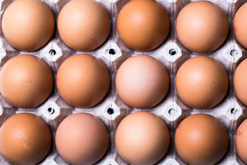 Eggs on white background