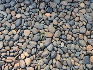 Abstract background of pebbles or round sea stones