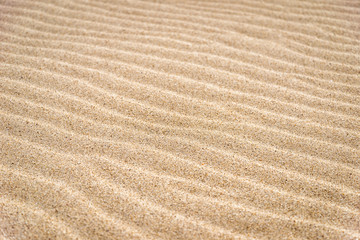 Fototapeta na wymiar The texture of the sand waves