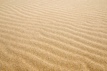 Fototapeta na wymiar The texture of the sand