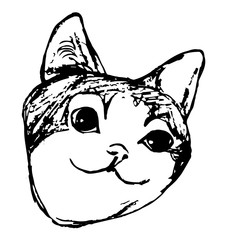 Cute cat head