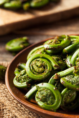 Raw Organic Green Fiddlehead Ferns