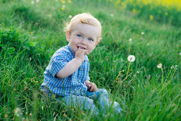 Cheerful child boy sitting on the grass