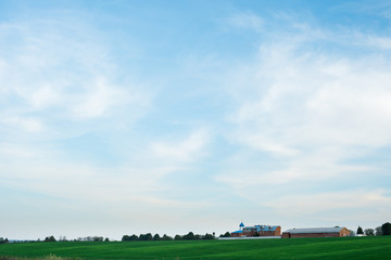 Beautiful nature, a view of the field