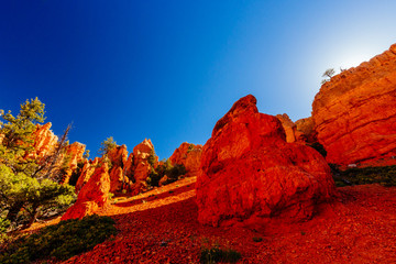 Hoodoos in Red Canyon in Utah, USA.