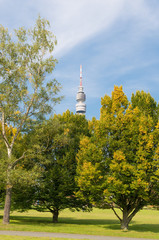 Obraz premium telecommunication tower