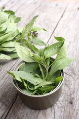 Basil leaf