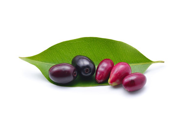 Jambolan plum, Java plum on white background