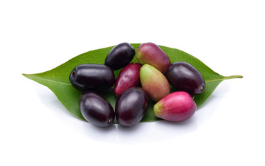 Jambolan plum, Java plum on white background
