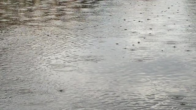 Rain drops falling on reflective shallow surface of water, much needed precipitation after years of drought in California