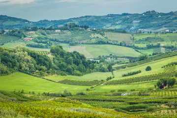 cultivated fields in the hills