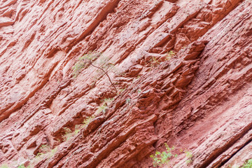 Detail of a rock formation called Garganta del Diablo (Devil's Throat) in Quebrada de Cafayate valley, Argentina