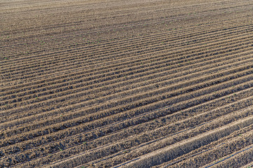 furrows of a plowed field