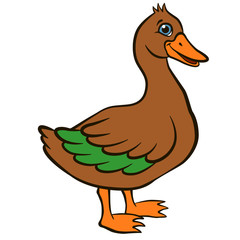 Cartoon birds for kids. Little cute duck stands and smile. It`s happy.