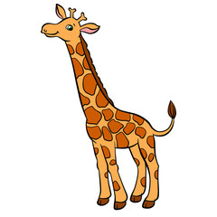 Naklejka premium Cartoon wild animals for kids. Little cute spotted giraffe with long neck stands and smiles. He is happy.